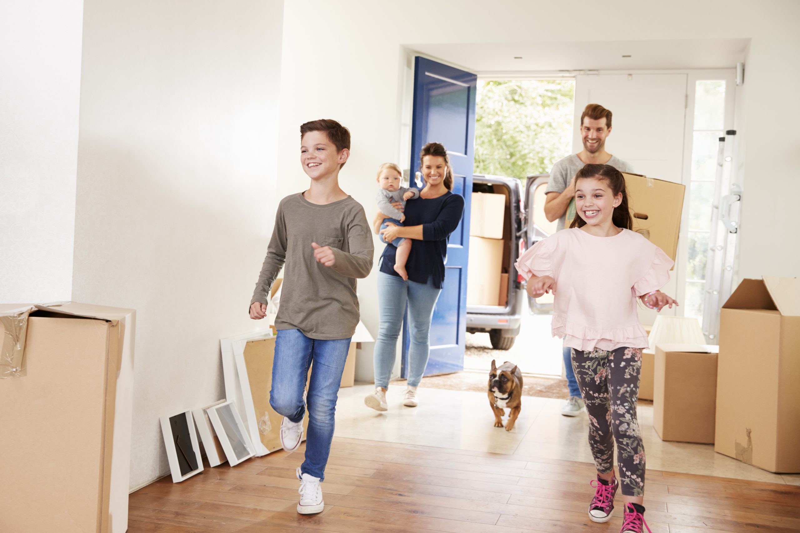 Loi Lemoine Assurance emprunteur